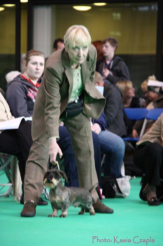 Crufts2011_2 689.jpg